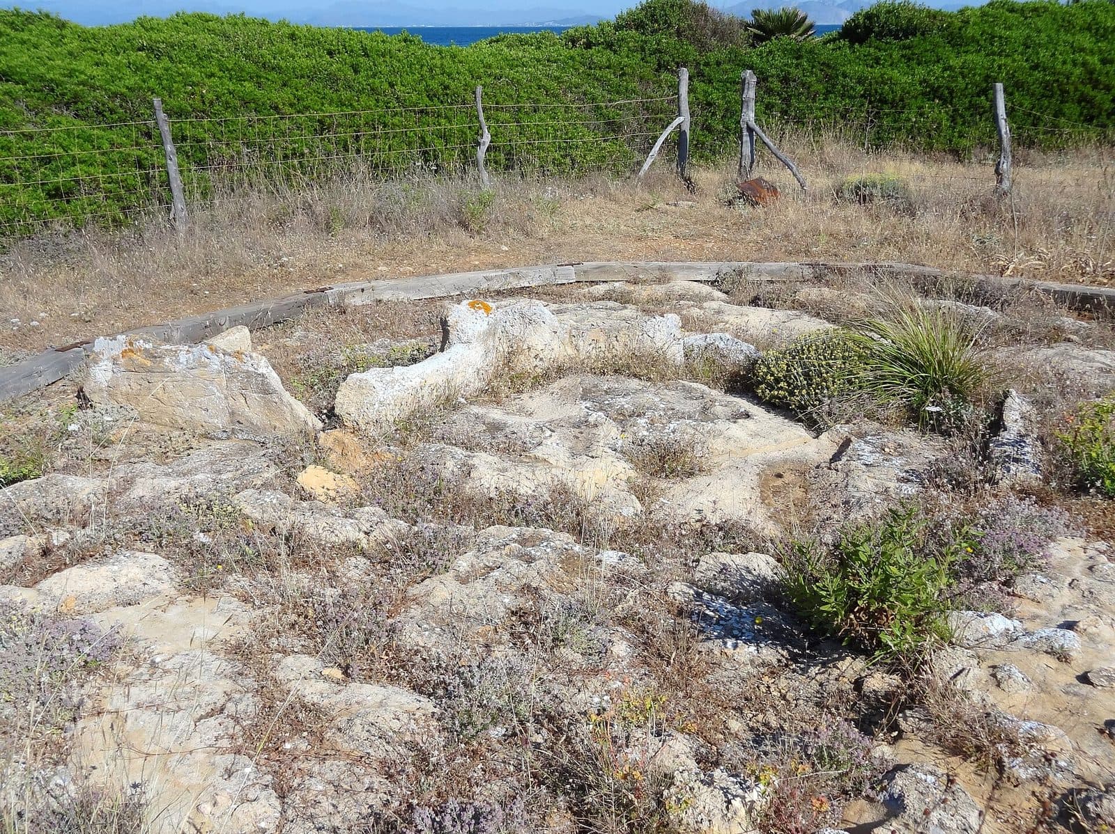 Aigua Dolça