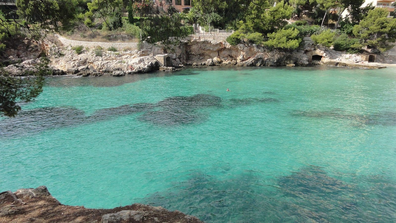 Caleta Portals Nous