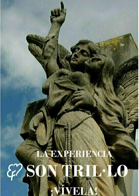 Guided daytime visits to the Palma Cemetery