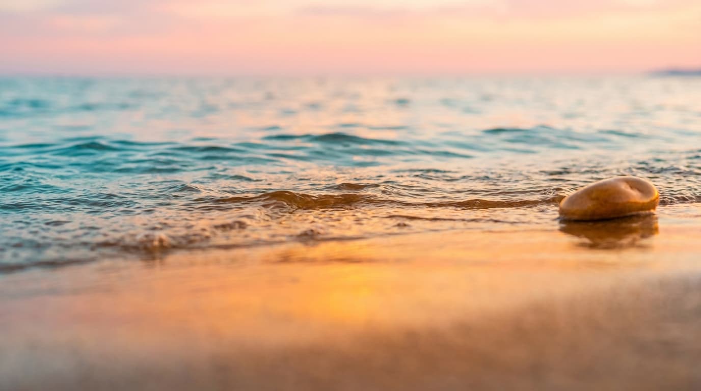 Assaona / Anssia Gastrobeach Club – Beach Clubs in Mallorca