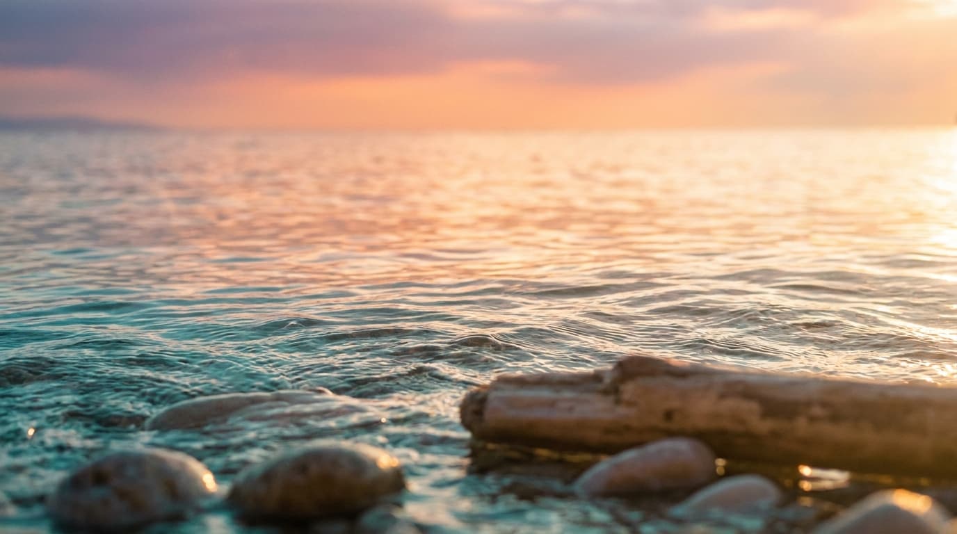 Mood Beach Club – Beach Clubs in Mallorca