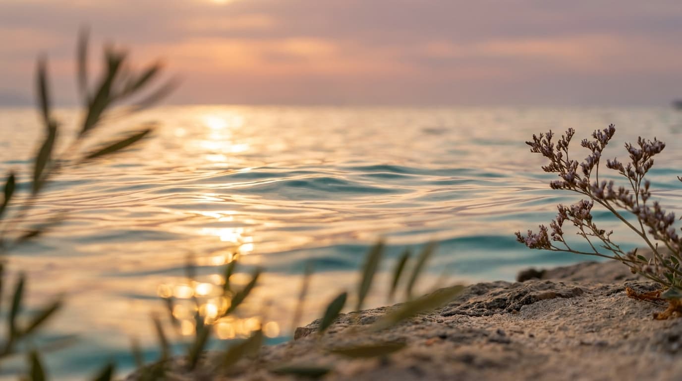 The Sea Club – Beach Clubs in Mallorca