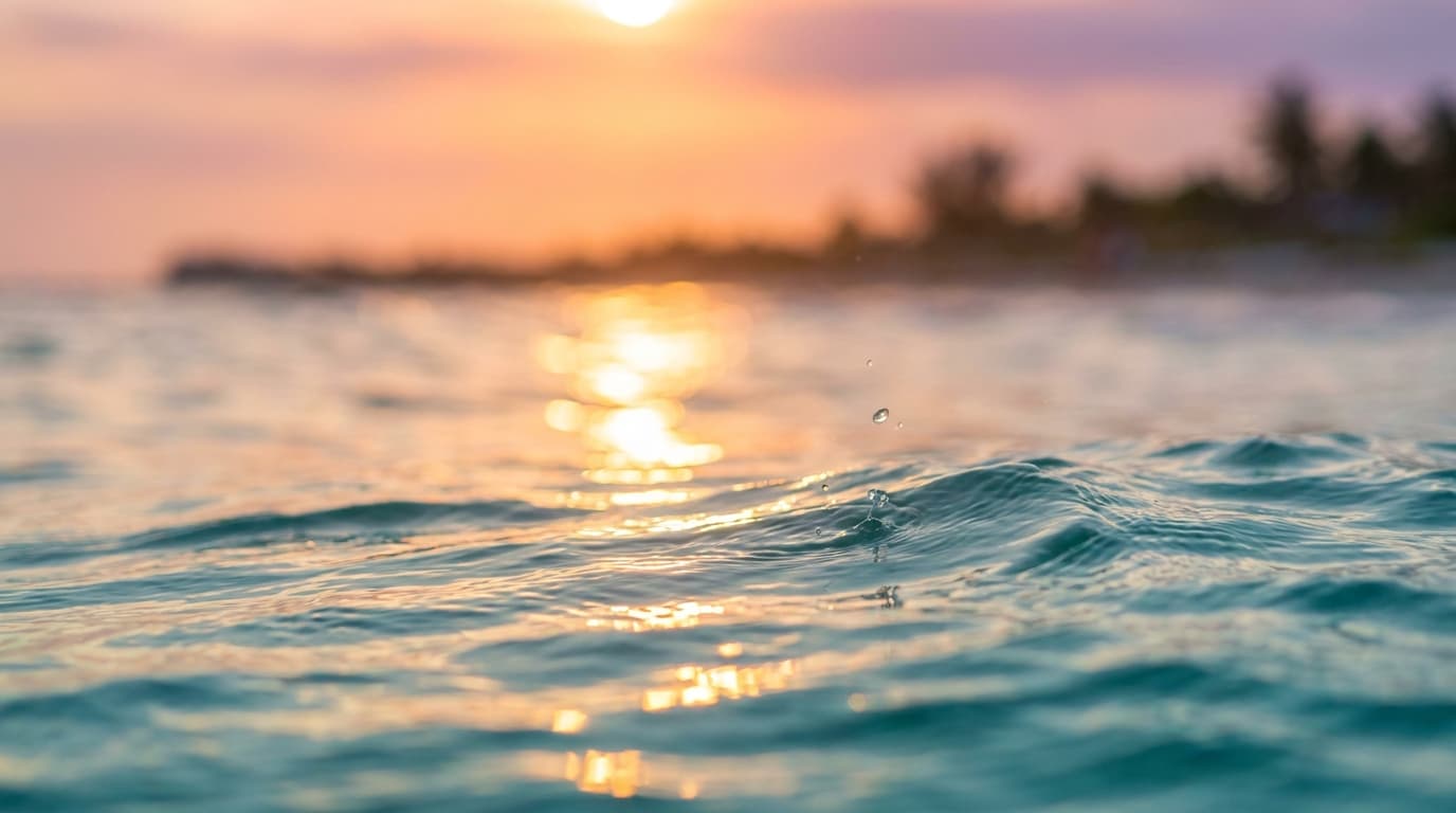 The Sunset Sea Club – Beach Clubs in Mallorca